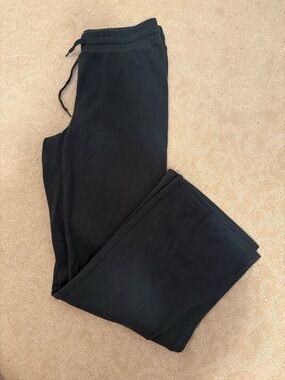 Aritzia Green homestretch pants